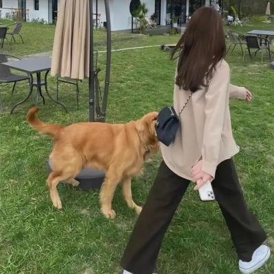 危险思想的自白